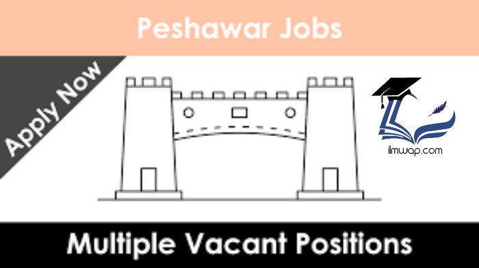 Jobs in Peshawar