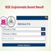 BISE-Gujranwala-Board-10th-Inter-Result-Result-2022-1-326x245